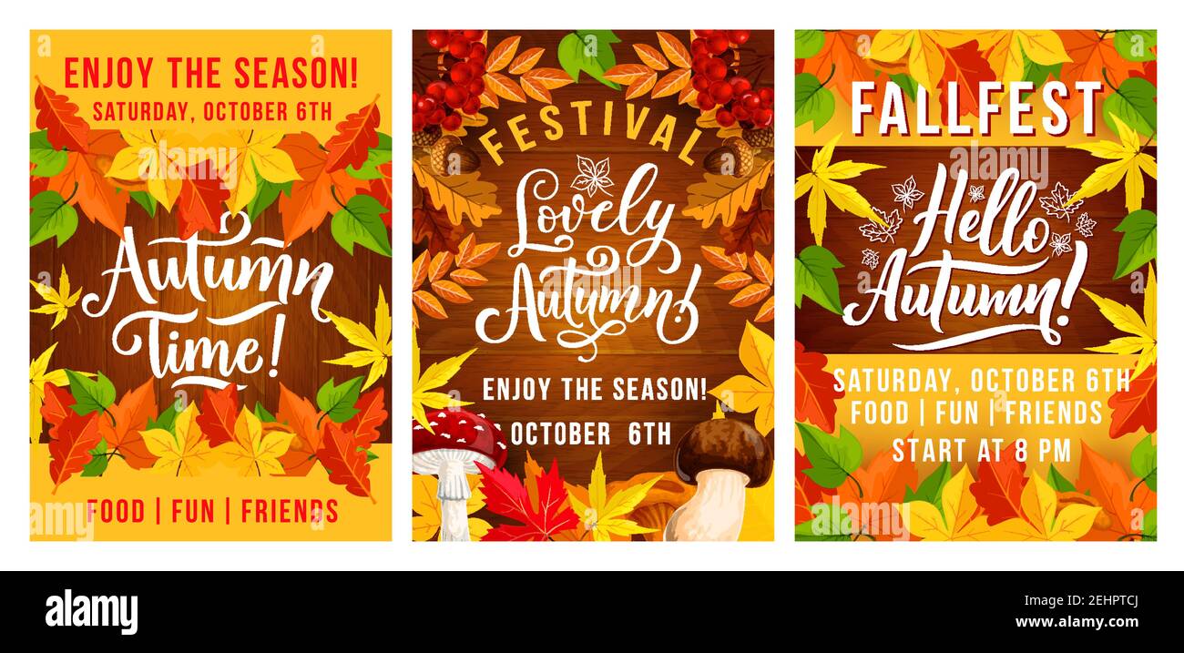 Herbstfest Einladungsplakate für Herbstjahresferien und Feiern Vektor-Design von Herbstblatt aus Eiche, Pappel oder Ahorn und Eberesche Baum mit Moschus Stock Vektor