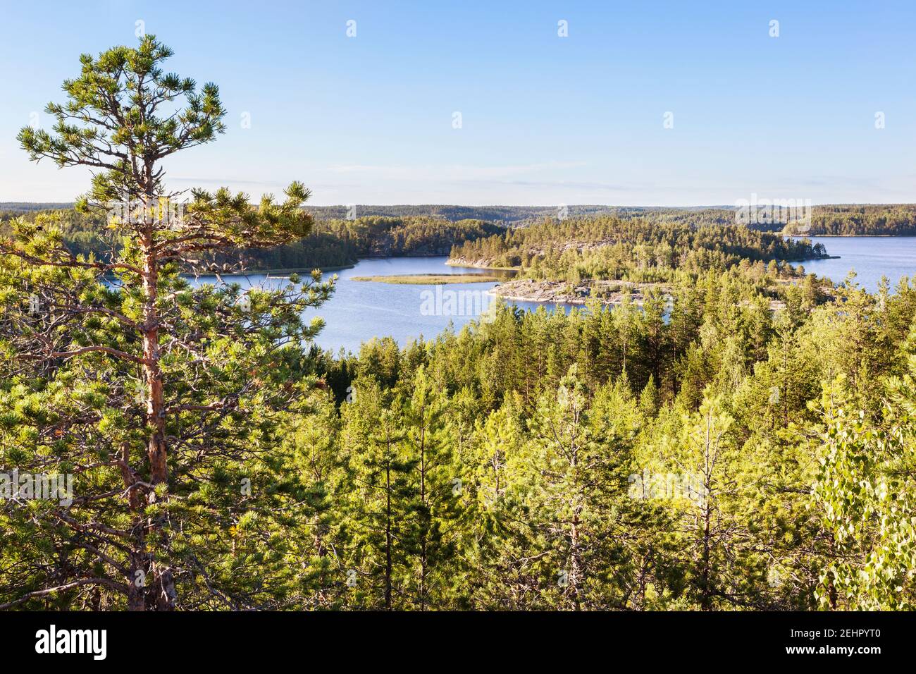 Lake Ladoga Skerries. Karelien. Russland Stockfoto