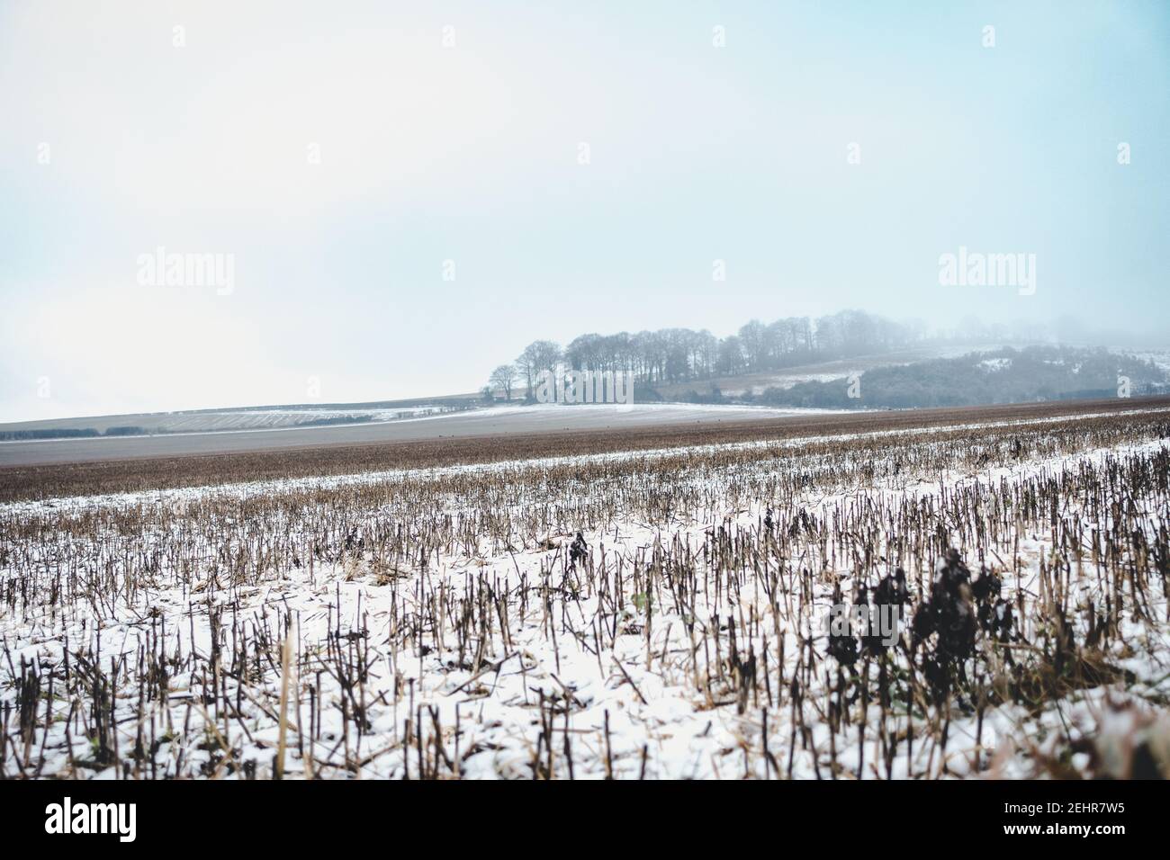 Hampshire Landschaft um über Wallop in Light Snow Cover Stockfoto