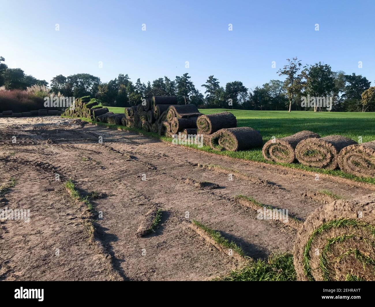 Deckungswechsel, Grasrollen auf dem Gras in der Nähe des Golfplatzes, im Sommer bei Sonnenuntergang. Stockfoto