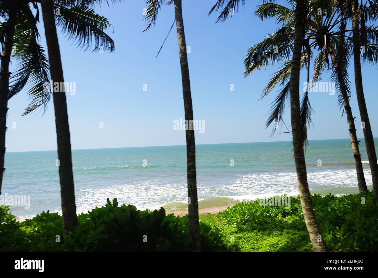 Laccadive Meer. Meer mit Palmenhainen und bunten Fischerbooten. Touristische Orte Sri Lanka Stockfoto