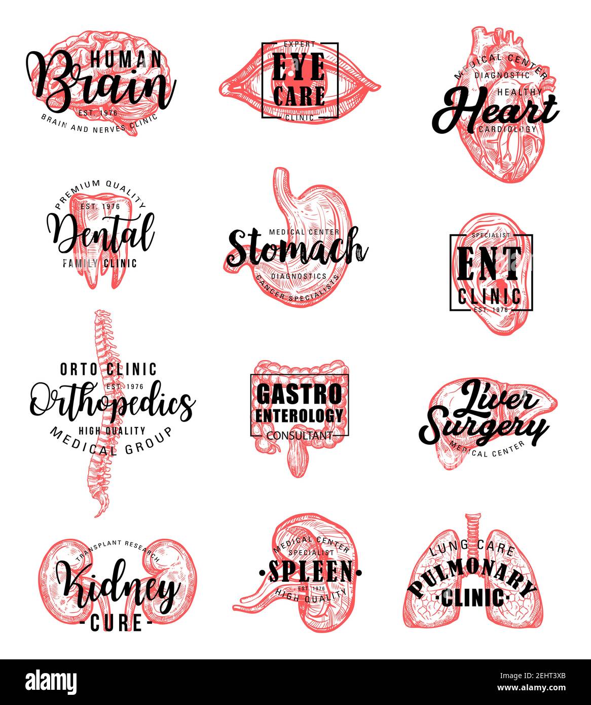 Menschliche Körperorgane Skizzen mit handgezeichneten Schriftzug, medizinische Klinik oder Zahnmedizin Emblem Design. Gehirn, Herz und Lunge, Leber, Niere und Zahn, Auge, Stock Vektor