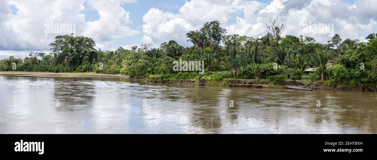 Blick vom Manatee River Boot, Amazonas Regenwald, Yasuni National Park, Napo River, Ecuador Stockfoto