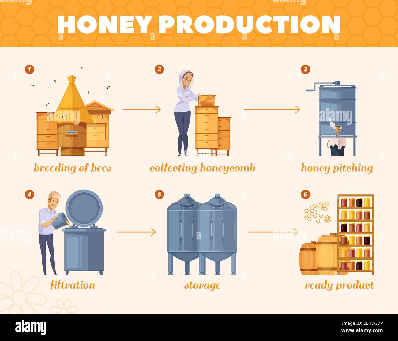 Bienenhonig Produktion Cartoon Flussdiagramm Poster von Bienen Zucht sammeln Waben zur Lagerung Infografik Zusammensetzung Vektor Illustration Stock Vektor