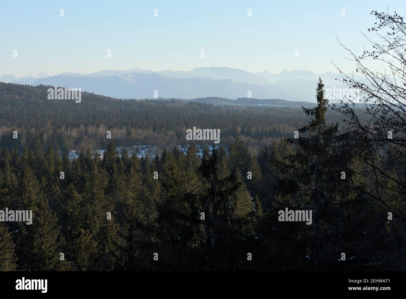 Eine Tannenwaldlandschaft mit schwaches Bergpanorama, Bayern, Deutschland Stockfoto