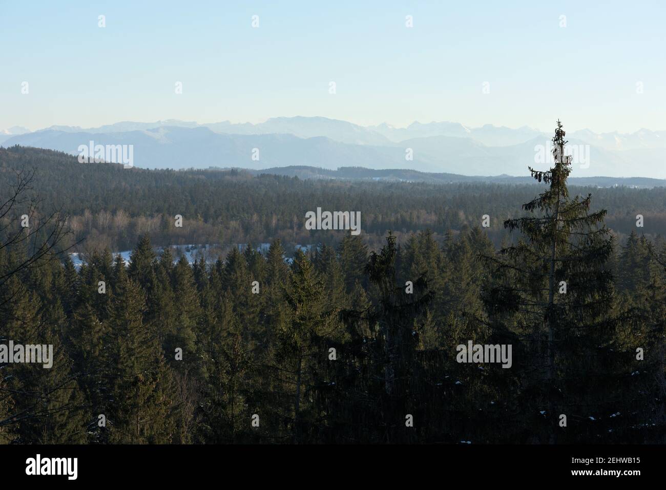 Eine Tannenwaldlandschaft mit schwaches Bergpanorama, Bayern, Deutschland Stockfoto