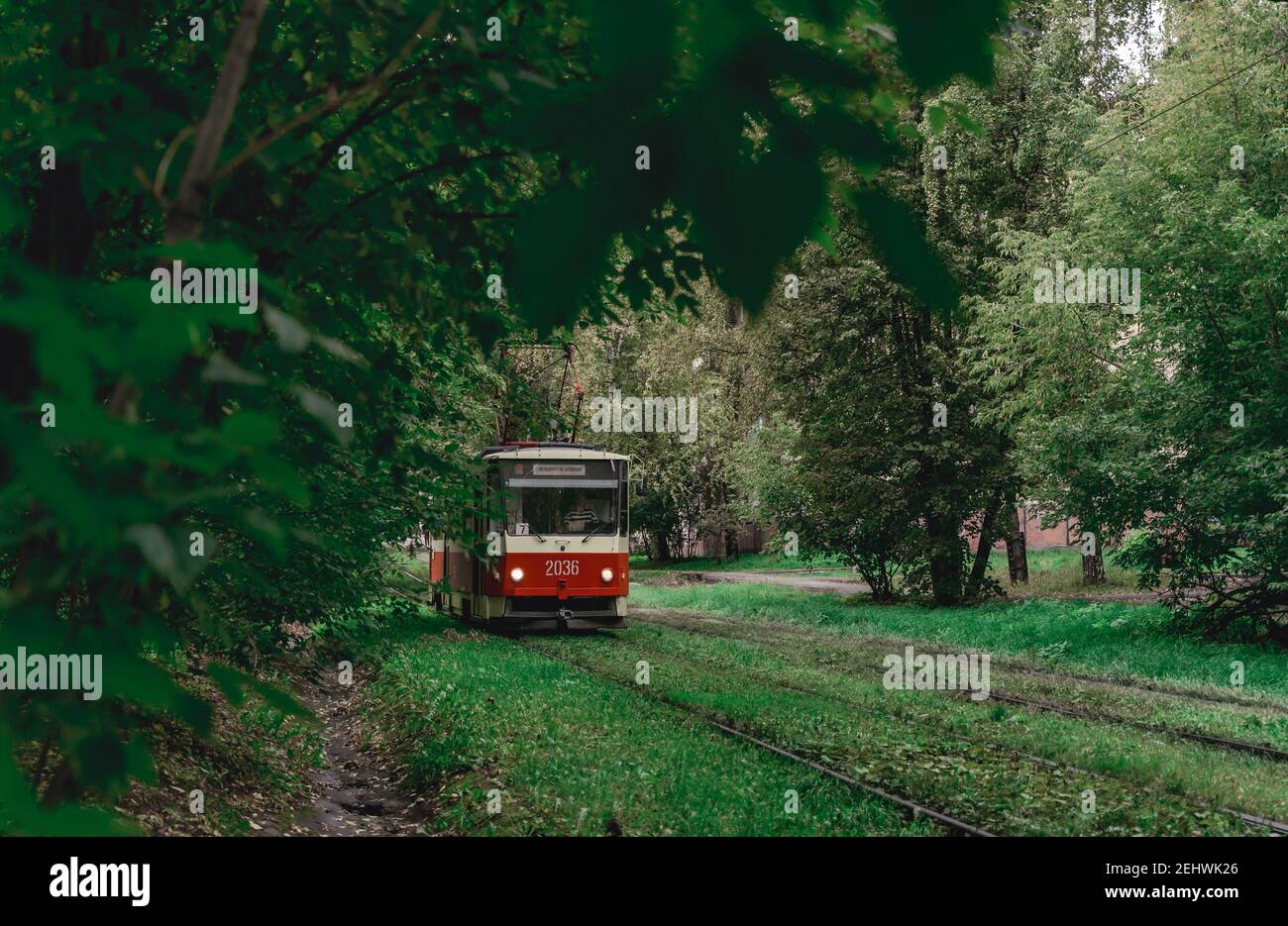 Die Straßenbahn fährt durch dichte Baumstämme. Sommerlandschaft im Park mit der Straßenbahn. Izhevsk, Russland. Stockfoto