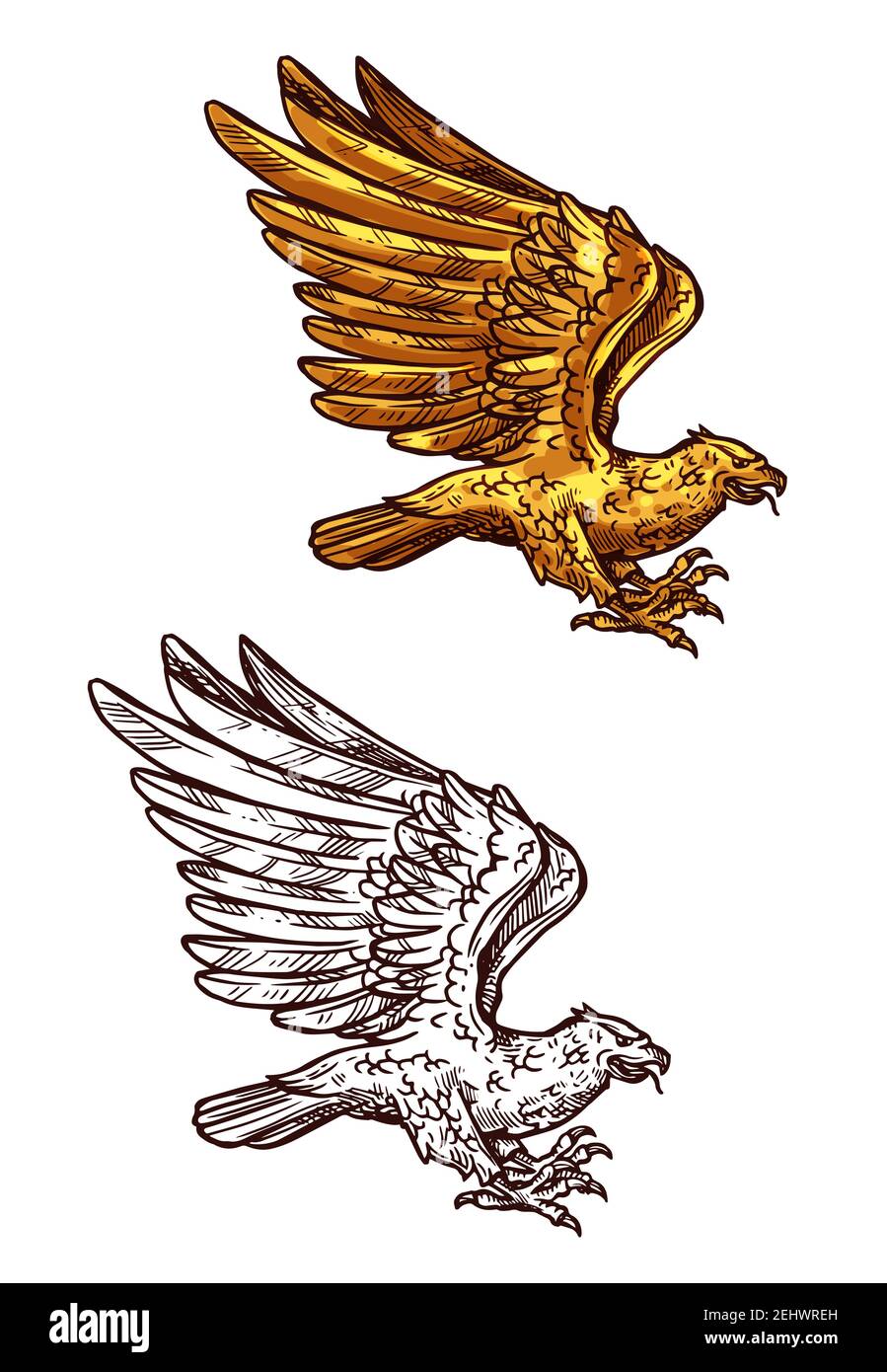 Adler, Falke, Falke oder phönix Skizze des goldenen Vogels fliegen mit erhöhten Flügeln. Falknerjagd Emblem, vintage Royal heraldry Element oder Tattoo vecto Stock Vektor