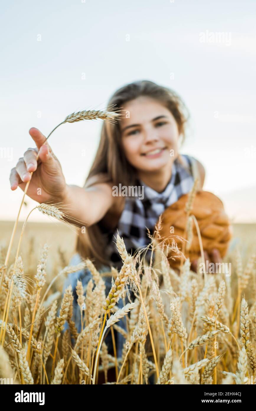 Feld mit Ähren von Mais, Ernte von Brot.Teenager-Mädchen mit runden Brot. Brotselektiver Fokus. Hände mit großem Brot. Backwaren auf einem Stockfoto