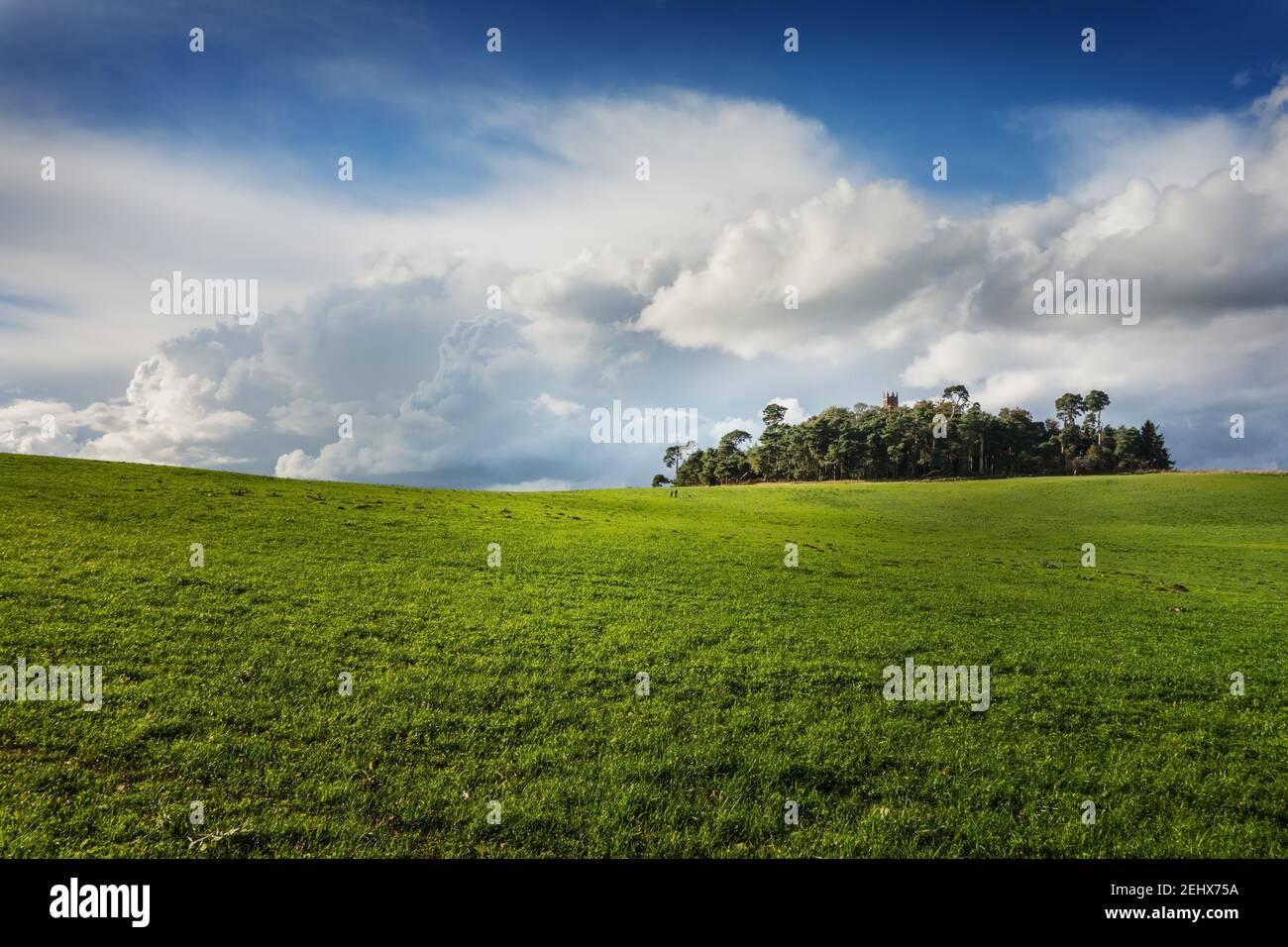 Faringdon Folly im Sommer Stockfoto