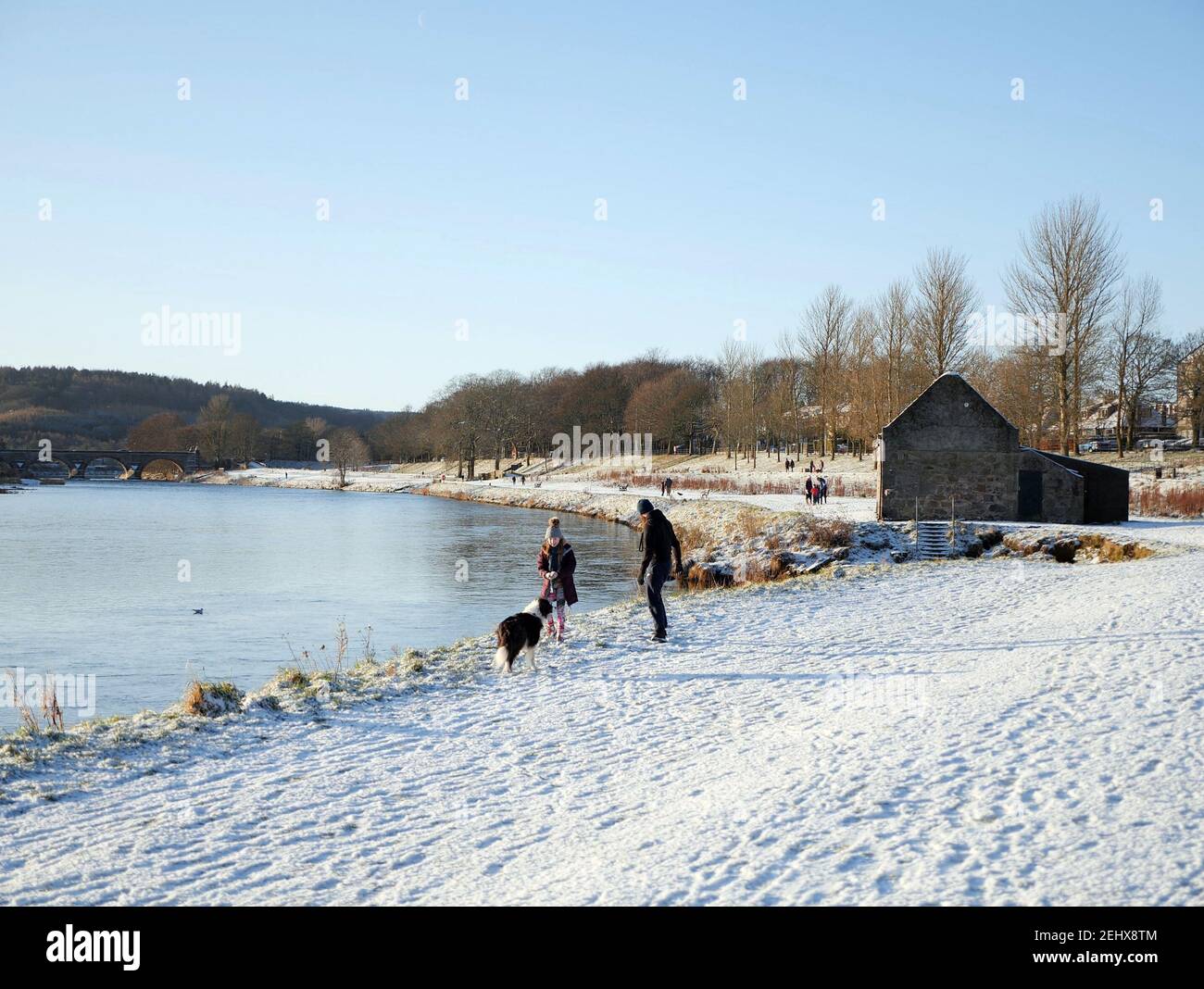 Mann und Tochter spielen mit Collie Hund im Schnee auf Ufer des Flusses Dee Stockfoto