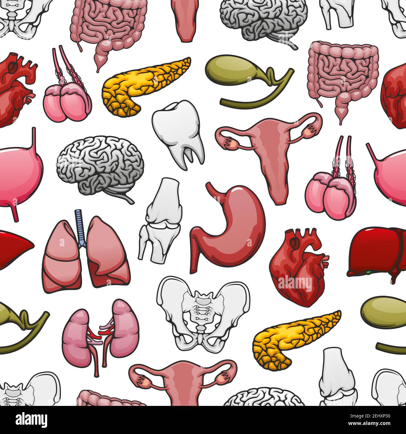 Menschliche Organe, Knochen und Gelenke nahtlose Muster Hintergrund. Herz, Gehirn und Lunge, Niere, Leber und Darm, Becken, Knie und Zahn, Gebärmutter, Test Stock Vektor