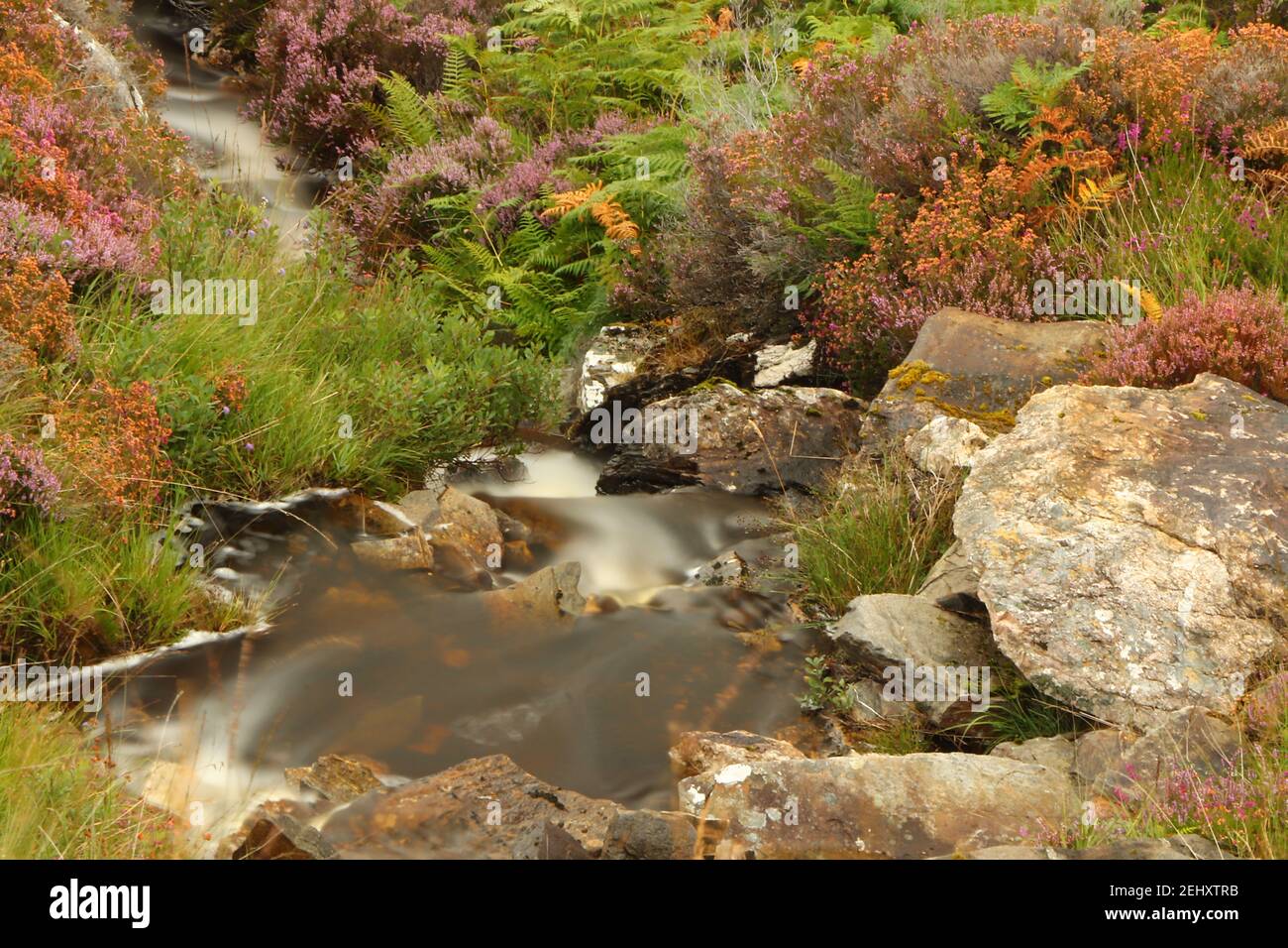 Wasser stürzt durch die Hügel Schottlands Stockfoto
