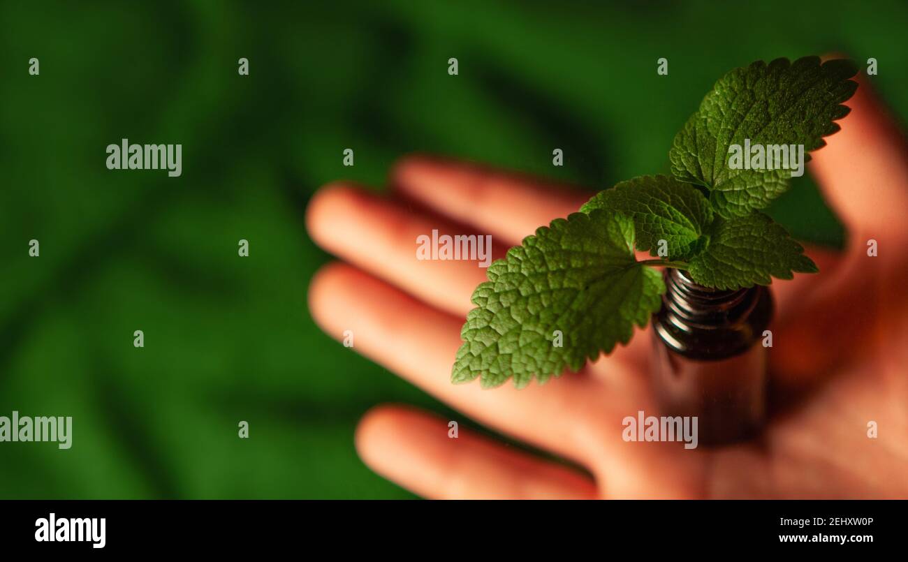 Naturheilmittel - Platz für Text. Stockfoto