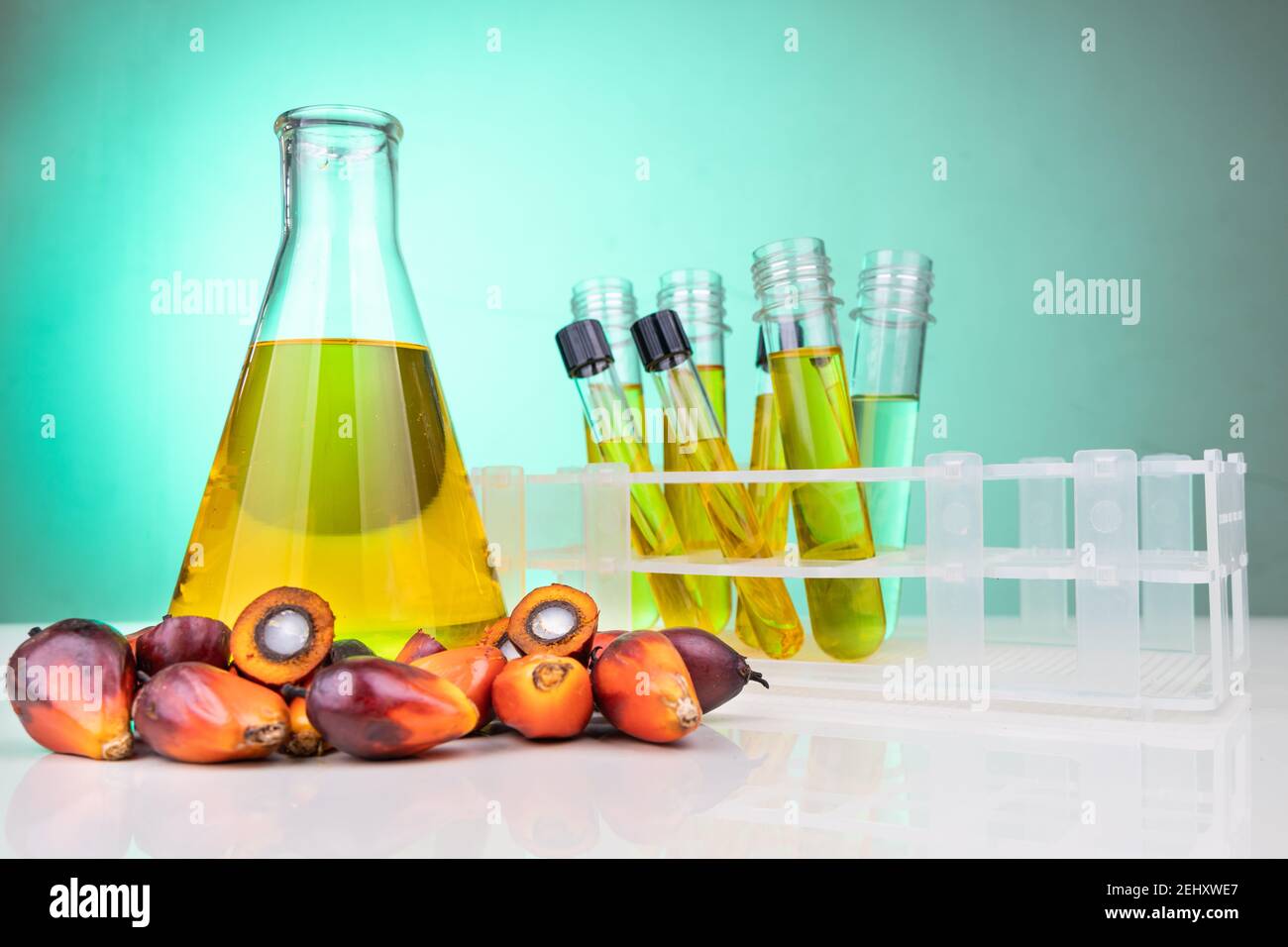 Palmfrüchte mit destilliertem in Messbecher Reagenzgläser im Labor Ölen. Stockfoto