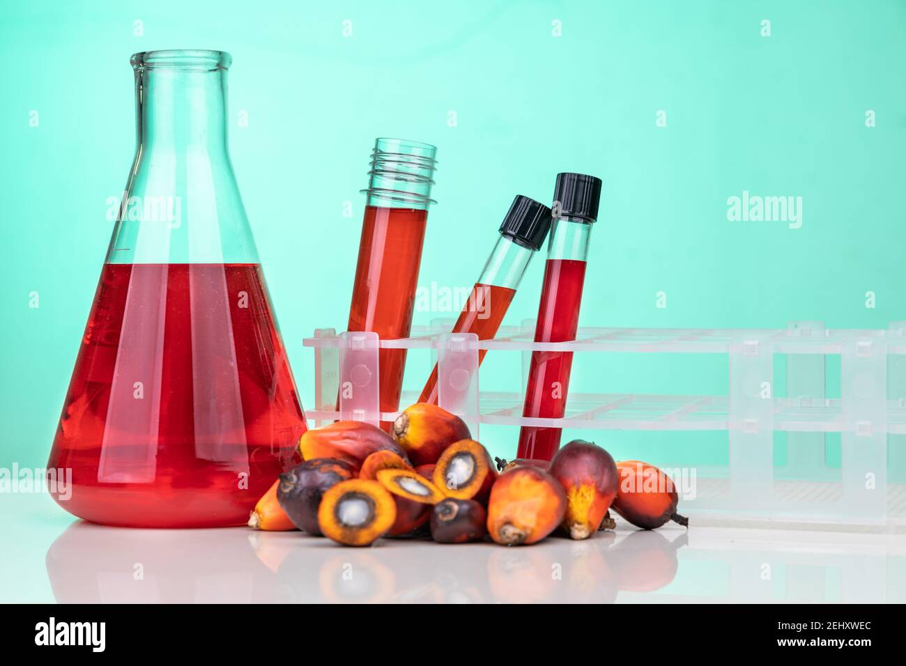 Rote Farbe unraffiniertes Palmöl und Früchte mit Becher Test Röhrchen im Labor Stockfoto
