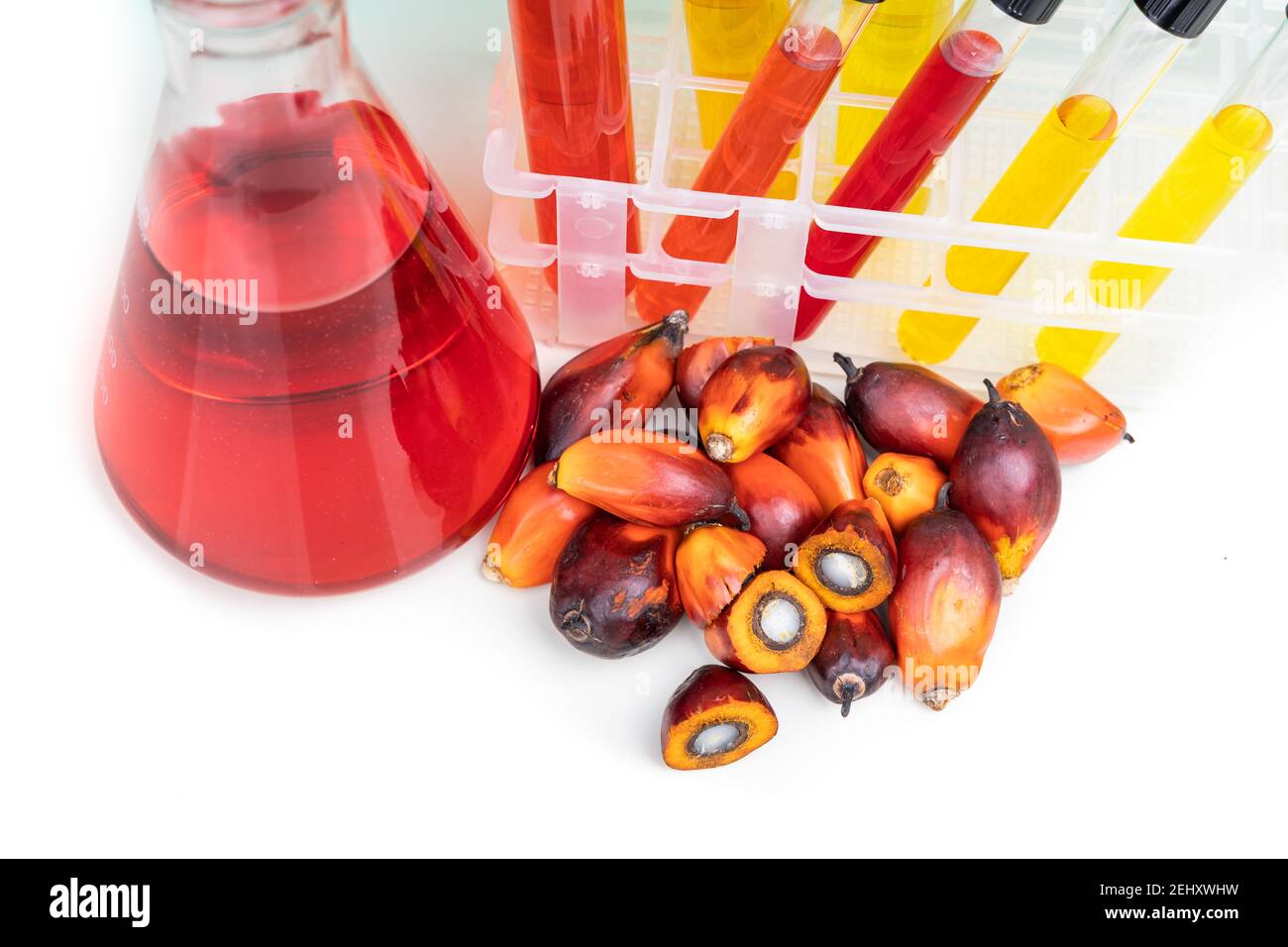 Rote Farbe unraffiniertes Palmöl und Früchte mit Becher Test Röhrchen im Labor Stockfoto
