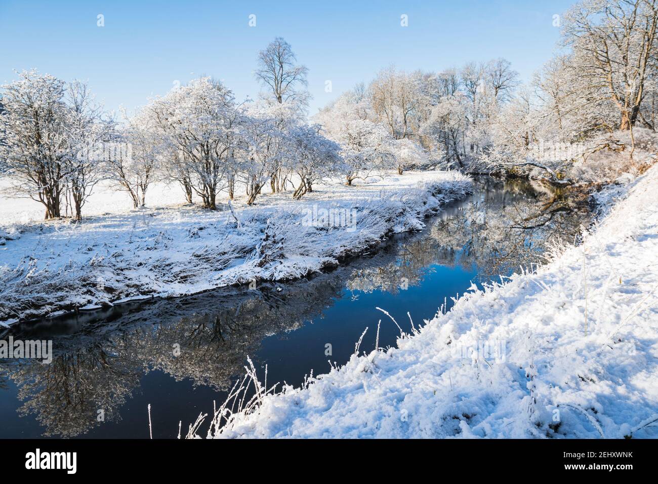 Winter im Pollok Country Park, Glasgow, Schottland, mit schneebedeckten Bäumen, die sich im Fluss spiegeln. Stockfoto