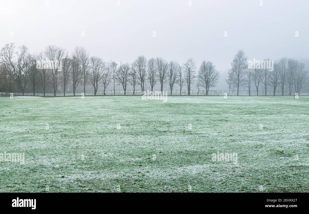 Moody neblige Landschaft an einem Wintertag im Glasgower Pollok Park. Stockfoto