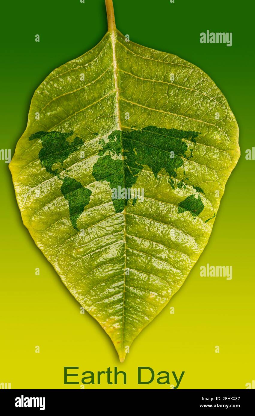 Grünes Blatt mit einer Weltkarte, Erde Tag Konzept Stockfoto