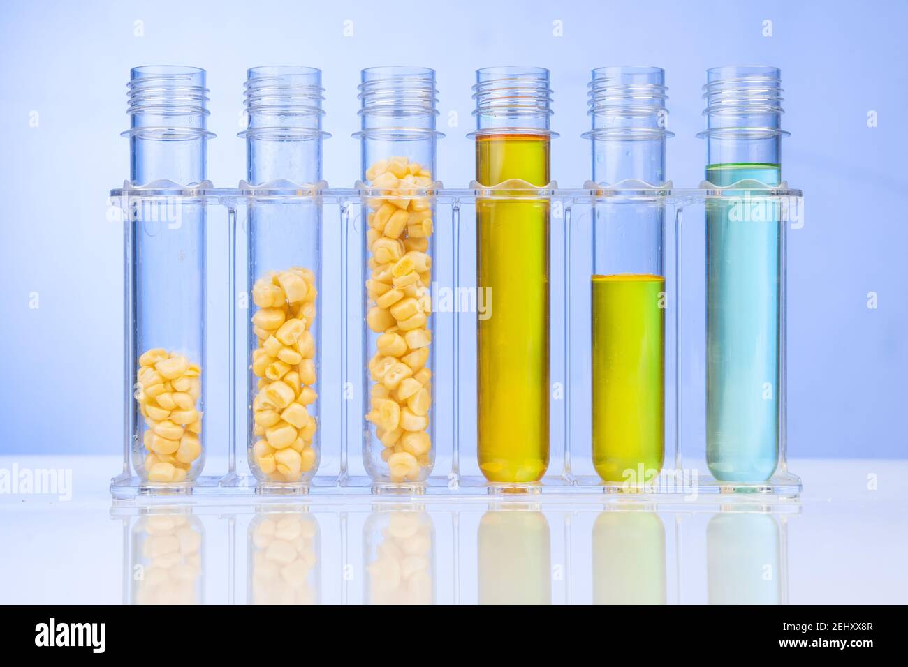 Ethanol Biokraftstoff aus Maislabyrinth mit Reagenzgläsern in gewonnen Labor Stockfoto