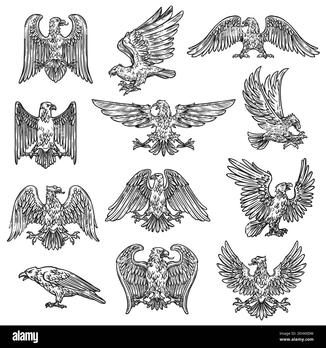Adler herladic Skizze Ikonen. Vektor Gothic heraldry Vogel-Design, Wappen und königliche Schild Symbol oder Tattoo Adler fliegen mit ausgebreiteten Flügeln und Klaue Stock Vektor