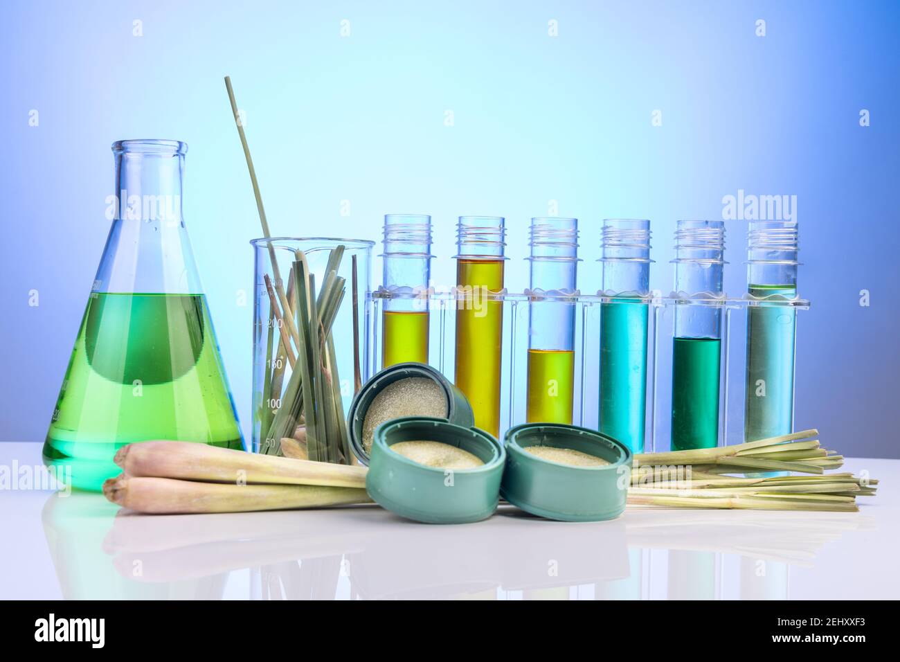 Natürliche Moskitos abweisende Gel aus Zitronengras und anderen Kräutern abgeleitet Mit Reagenzgläsern und Becherglas als Requisite im Labor Stockfoto
