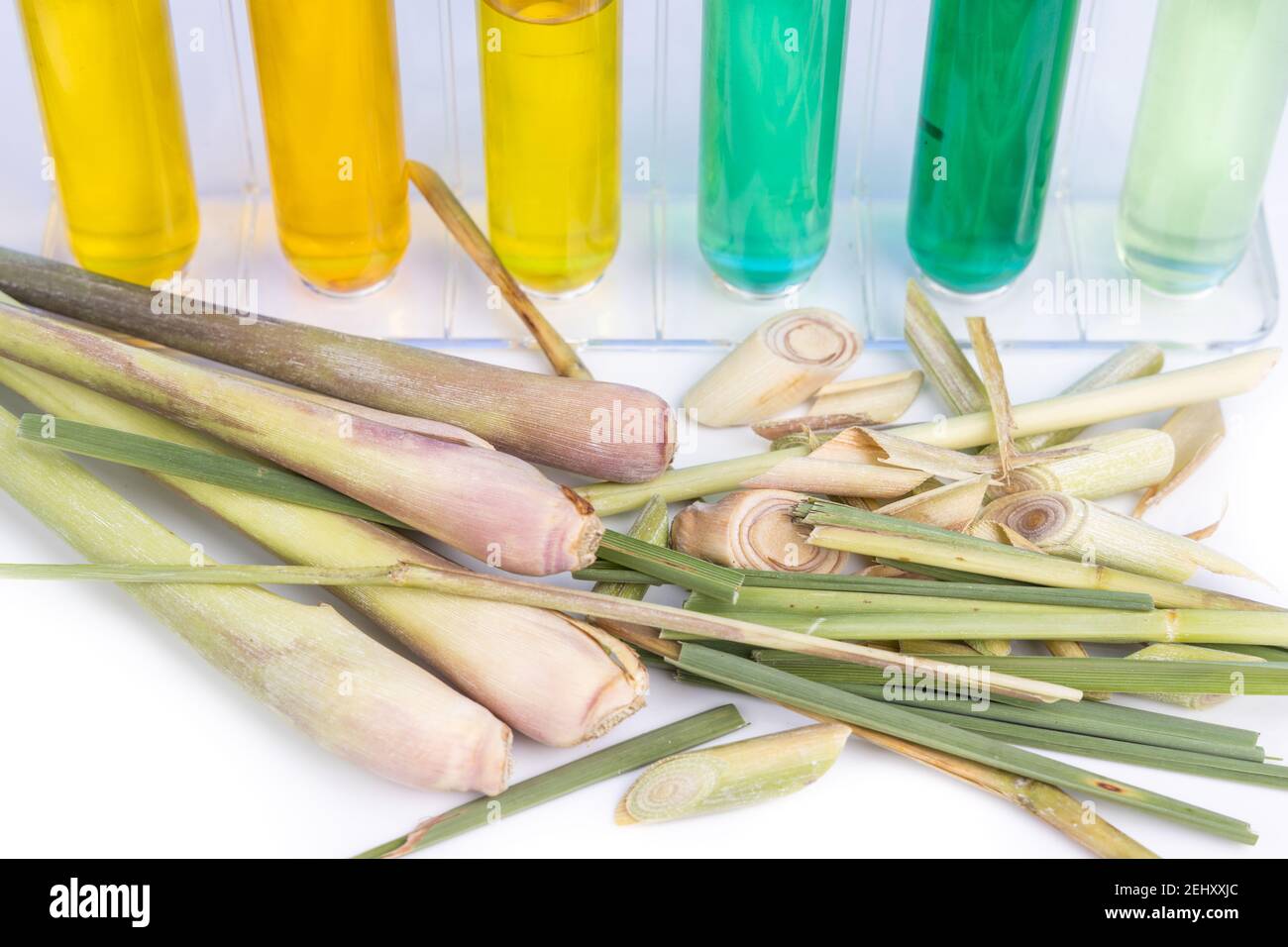 Nahaufnahme von Zitronengras ätherischem Ölextrakt mit Reagenzgläsern in Laboreinrichtung Stockfoto