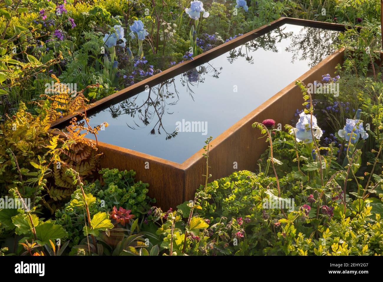 English Cottage Garten Corten Stahl Wassertrog mit Blumenrand Beet mit gemischten Pflanzen Iris germanica Bel Azure Tellima grandiflora Rubra UK Stockfoto