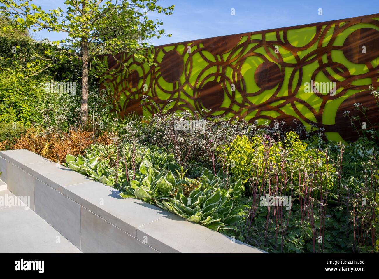 Eine moderne städtische Garten Zaun Paneele und eine Steinbank - Frühling - Hochbetten Blume Grenze blauen Himmel - Corylus colurna - Türkische Hasel Baum - Großbritannien Stockfoto