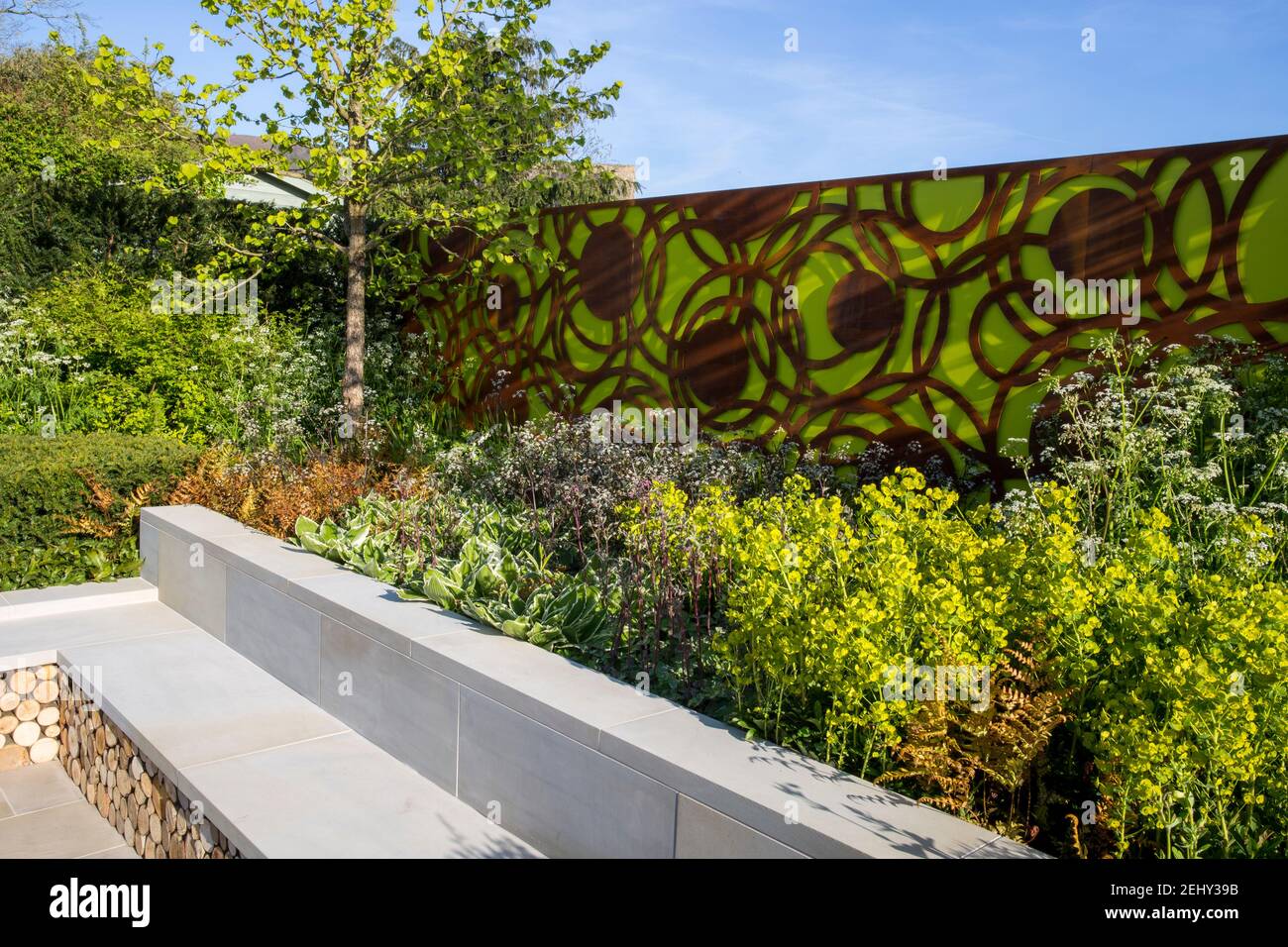 Ein moderner Stadtgarten Zaun Paneele und eine Steinbank - Frühling -Blumengrenze - blauer Himmel - Corylus colurna - ein türkischer Haselnussbaum -England Vereinigtes Königreich Stockfoto