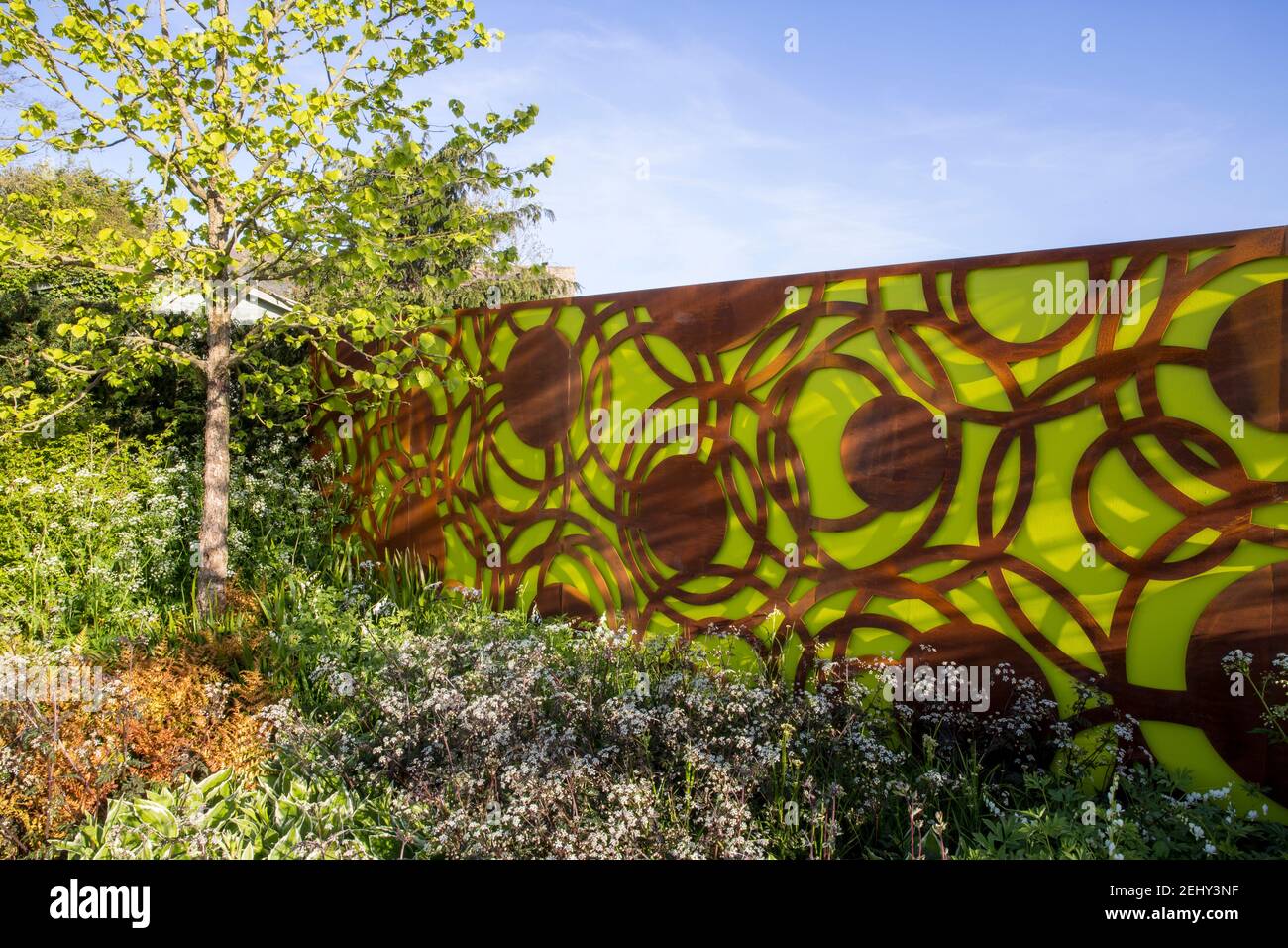 Ein moderner städtischer Garten Corten Stahl grünen Garten Zaun Platten - Frühling -Blumengrenze - blauer Himmel - Corylus colurna - ein türkischer Haselnussbaum -England Vereinigtes Königreich Stockfoto