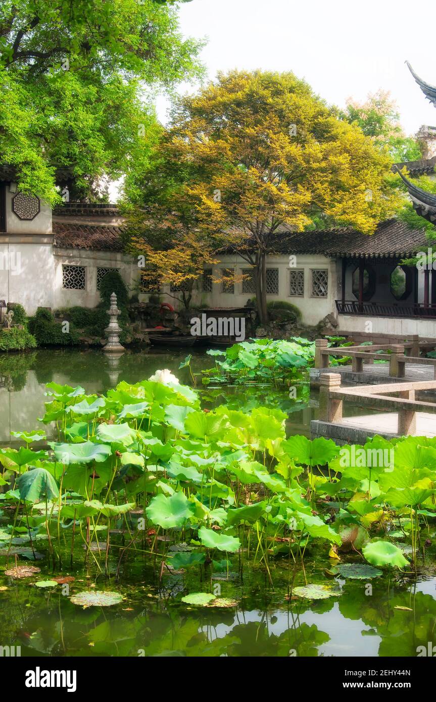 Lotus pond lingering garden suzhou Fotos und Bildmaterial in hoher