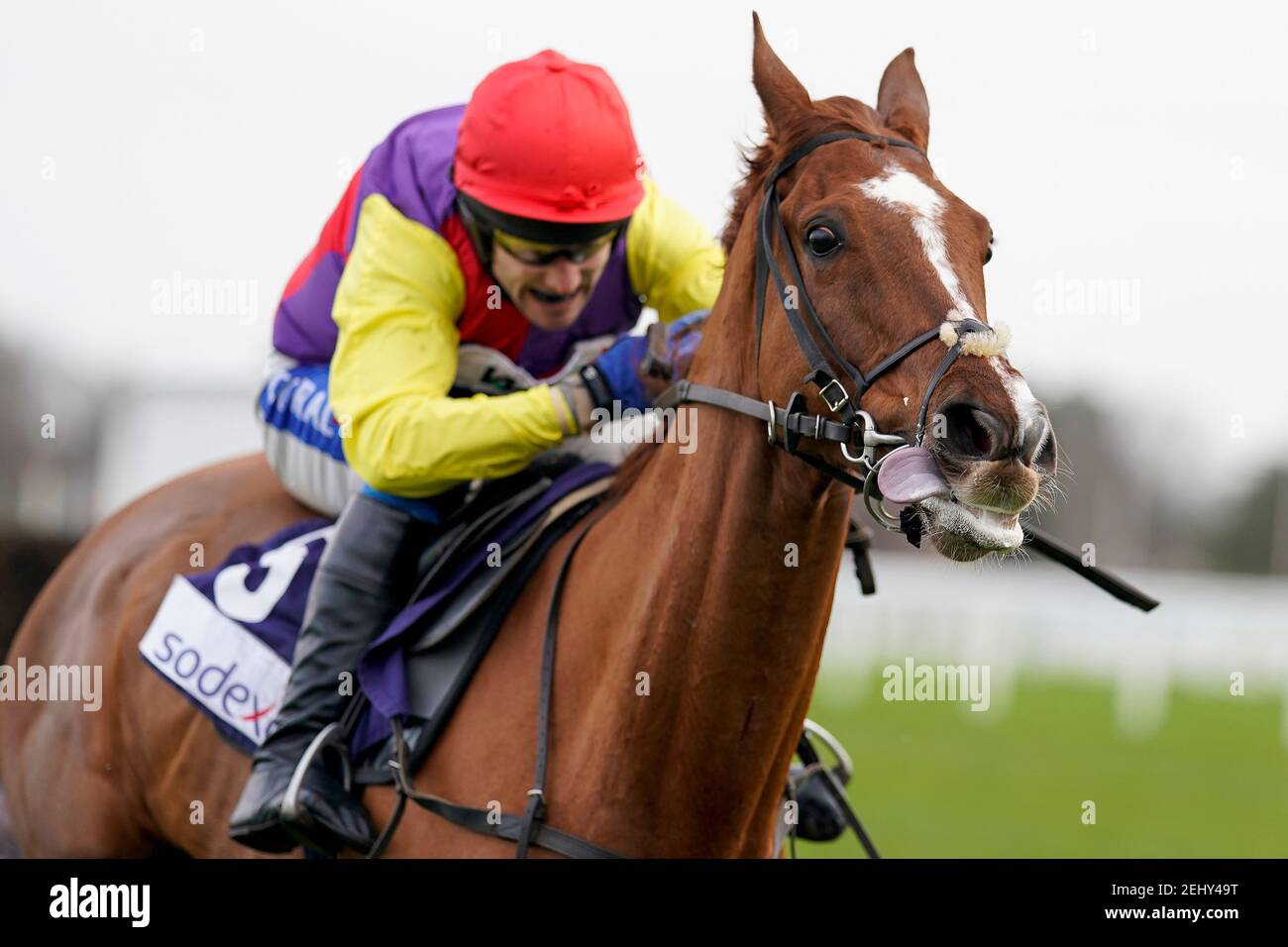 Tom Scudamore Reit Remastered klar der letzte zu gewinnen Bateaux London Reynoldstown Novizen' Chase auf Ascot Racecourse. Bilddatum: Samstag, 20. Februar 2021. Stockfoto