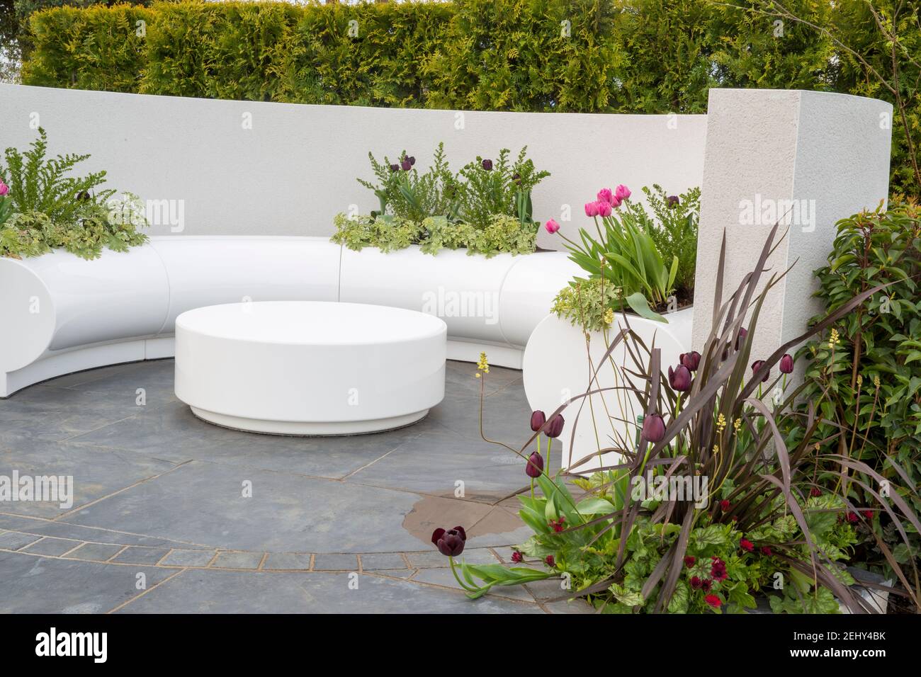Kreisförmige Terrasse, Tulpe Queen of Night und Caresse mit Geranien pflanzten einen modernen gebogenen weißen Kunststoff-Sitzbank mit weißem Tisch England UK Stockfoto