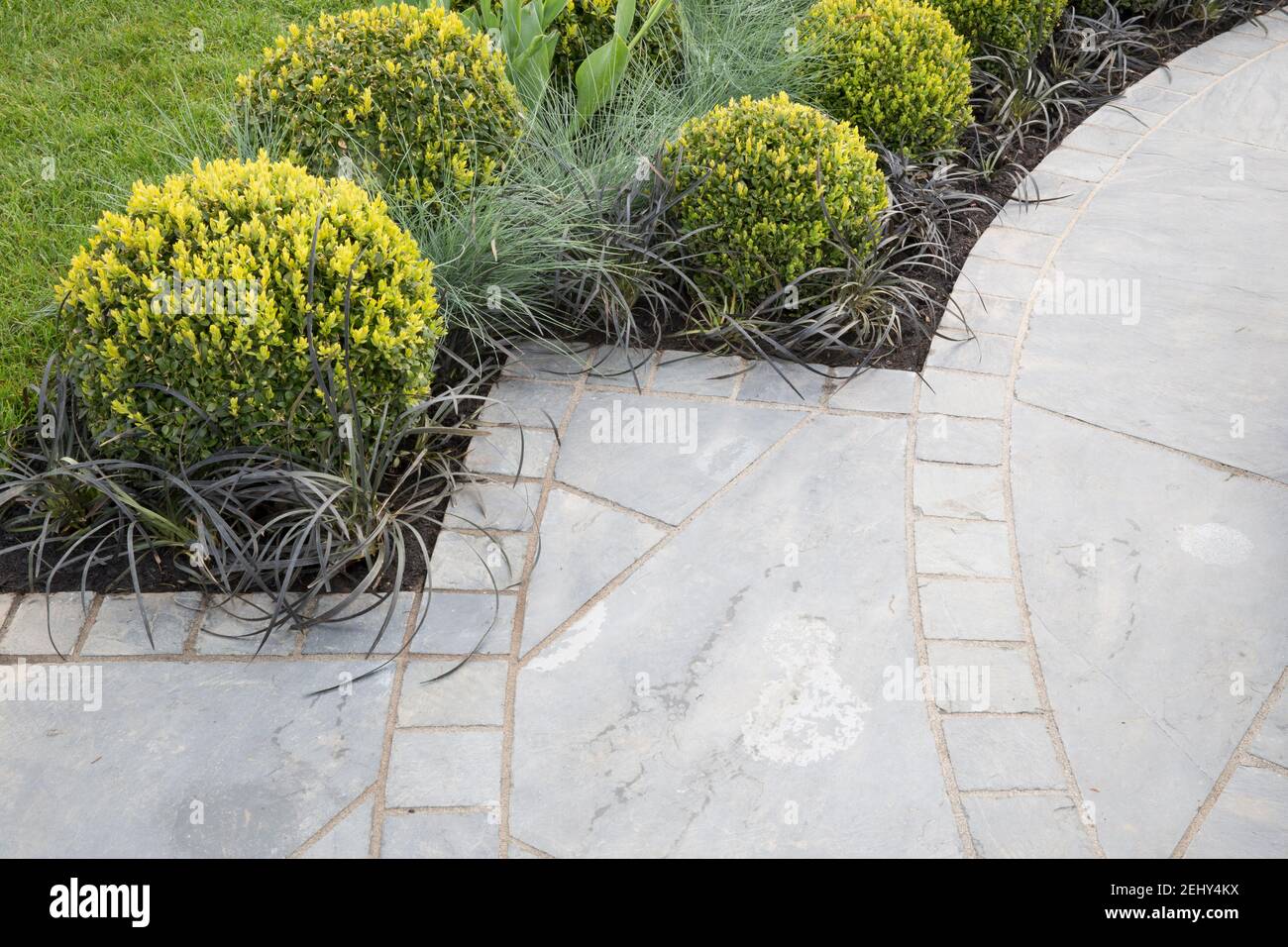 Stadtgarten Rundpflaster und graue Steinplatten auf der Terrasse - Clipped Buxus sempervirens Box topiary Kugeln und Ziergräser England GB UK Frühling Stockfoto