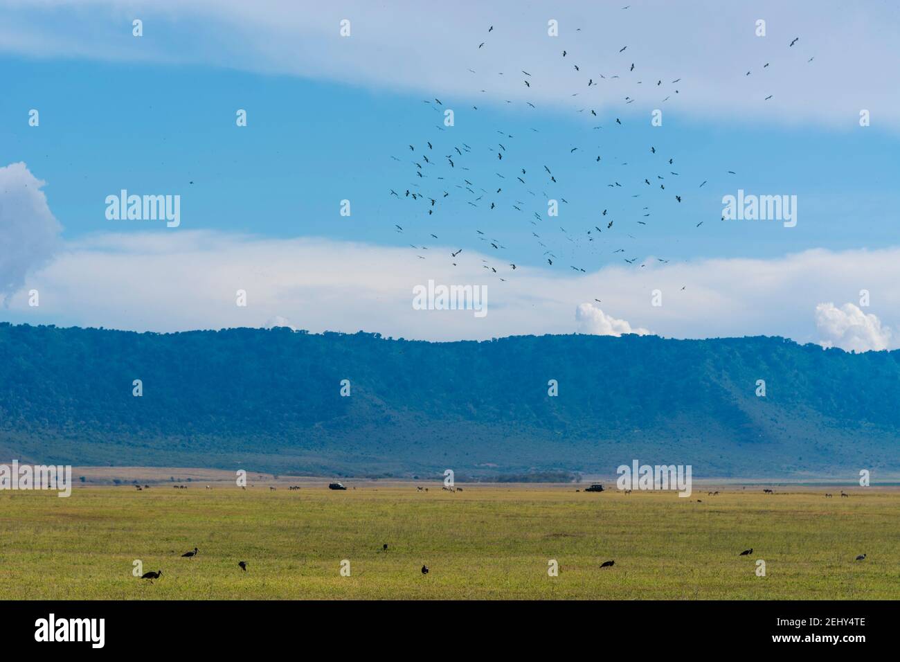 Blick auf Ngorongoro Krater, Ngorongoro Conservation Area, Serengeti, Tansania. Stockfoto