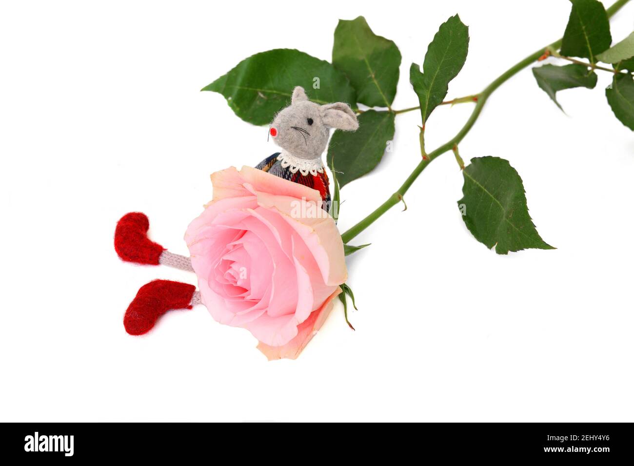 Schöne rosa Rose und Filz Spielzeug Maus auf weißem Hintergrund Stockfoto