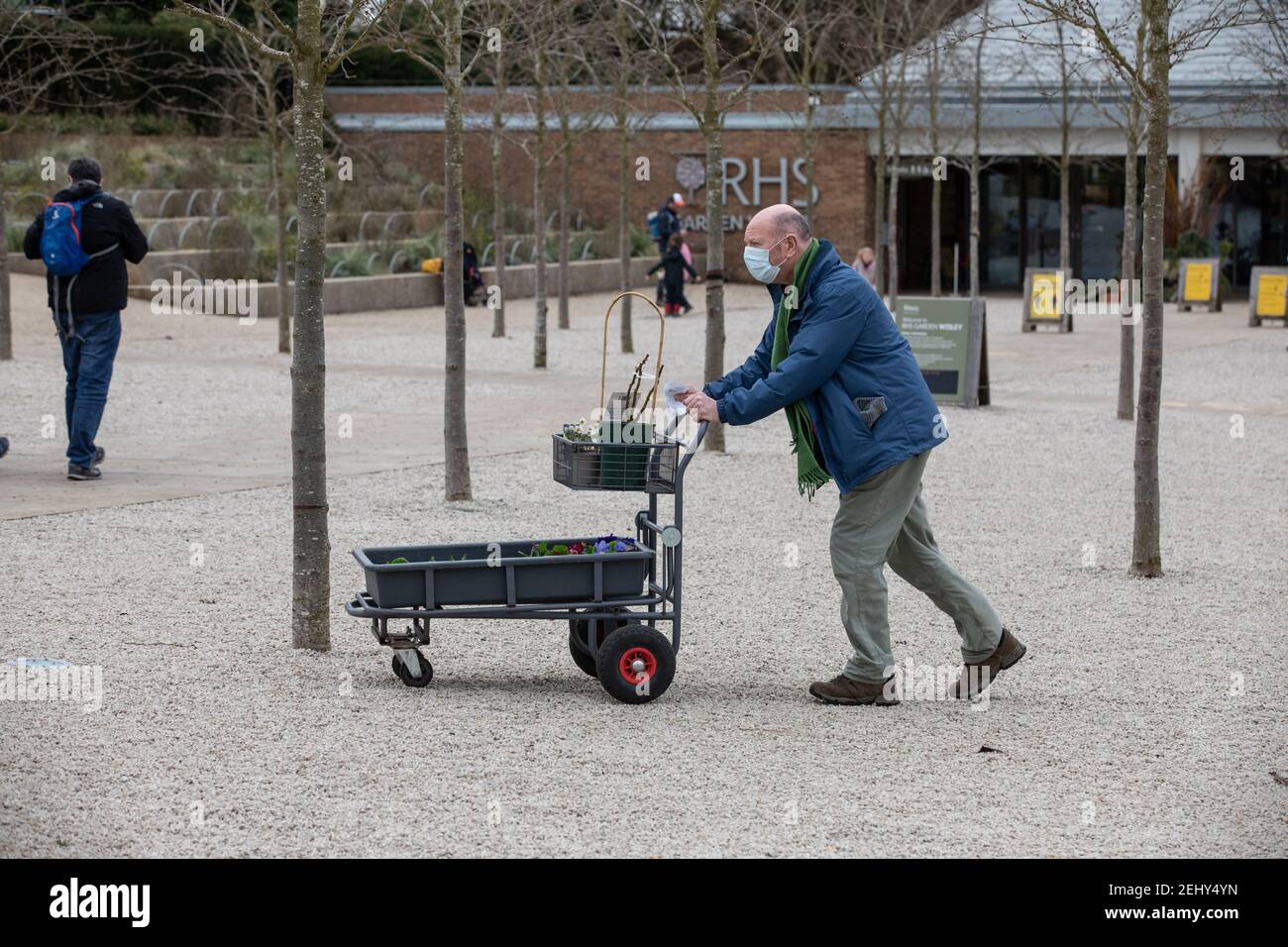 Ein maskierter Kunde schiebt auf den Parkplatz, nachdem er Pflanzen bei RHS Garden Wisley, Surrey, England, Großbritannien gekauft hat Stockfoto