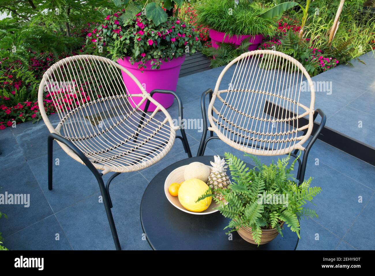 Metall gerahmte Rattan Gartenmöbel Stühle und Tisch mit Pflanzen Topf mit Farn auf einem dunklen Graphit Porzellan gepflastert Terrasse England GB Stockfoto
