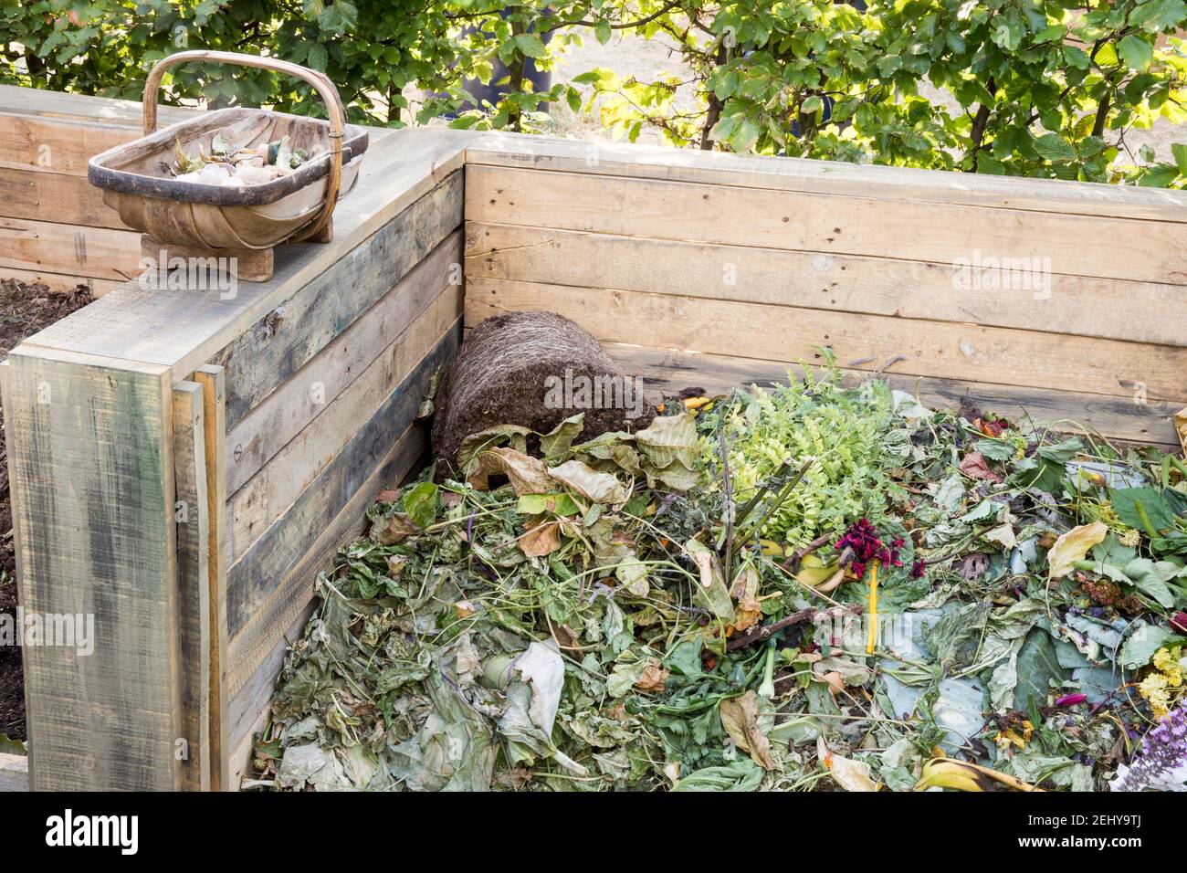 Komposthaufen aus recycelten alten Holzpaletten - Abfalleimer mit Gartenabfällen, aus dem man kompostiert Garden Waste England GB Großbritannien Stockfoto