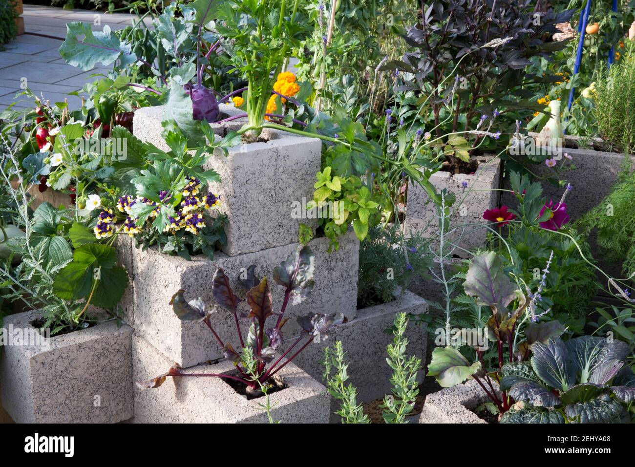 Kleiner städtischer Raum Garten vertikale Gartenarbeit ökologisch anbauendes Gemüse und Kräuter Pflanzen, die in ungewöhnlichen Behältern angebaut werden, Upcycling umfunktioniert Großbritannien Stockfoto