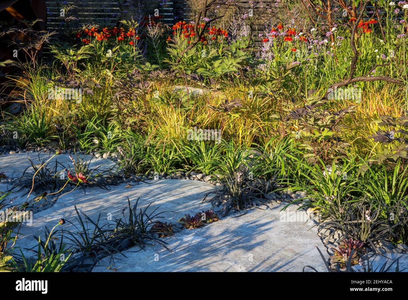 Sommergarten mit großen kaledonischen Steinpflasterung Platten Weg mit Ophiopogon planscapus 'nigrescens' und Sempervivums - England GB UK gepflanzt Stockfoto