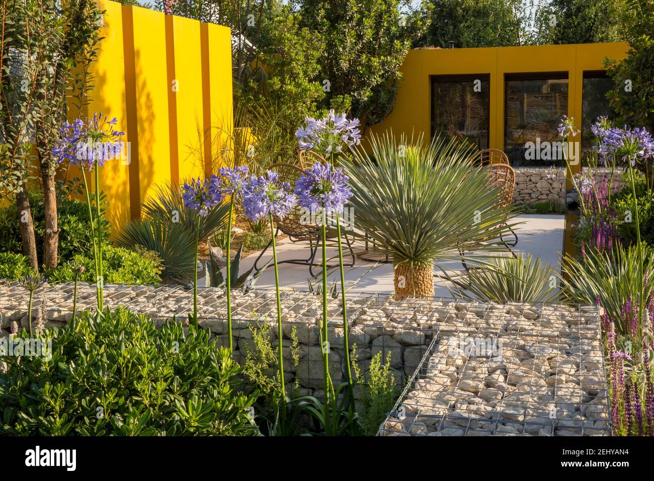 Modernes Gartenbüro - Home Office Studio im mediterranen Klima Garten mit Agapanthus Blue Storm und Yucca rostrata Blue Swan Gabion Gabions Wand Stockfoto