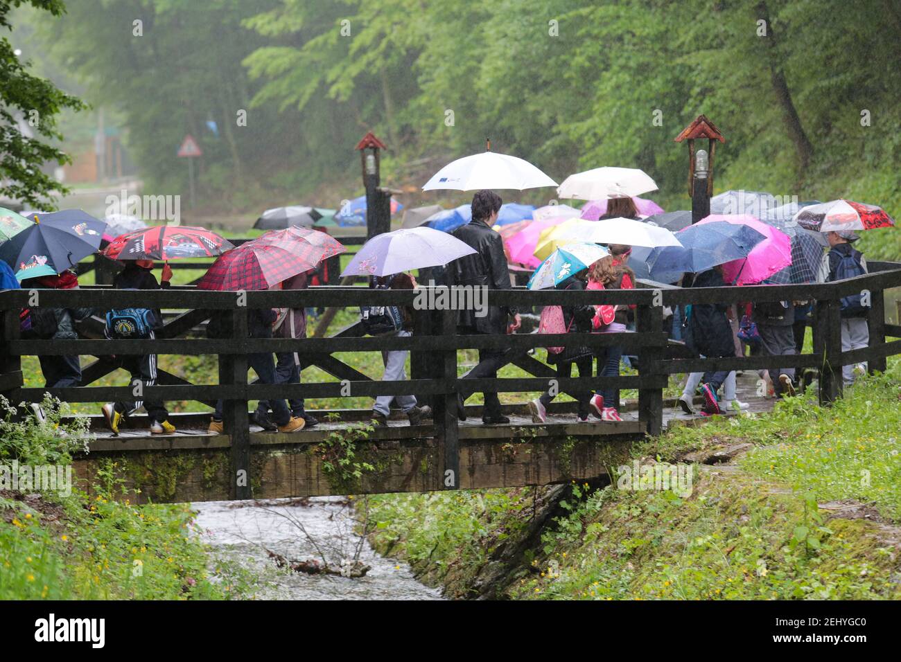 Kinder und Lehrer gehen mit Regenschirmen im Regen vorbei Eine Holzbrücke zur Straße neben einem Wald Stockfoto