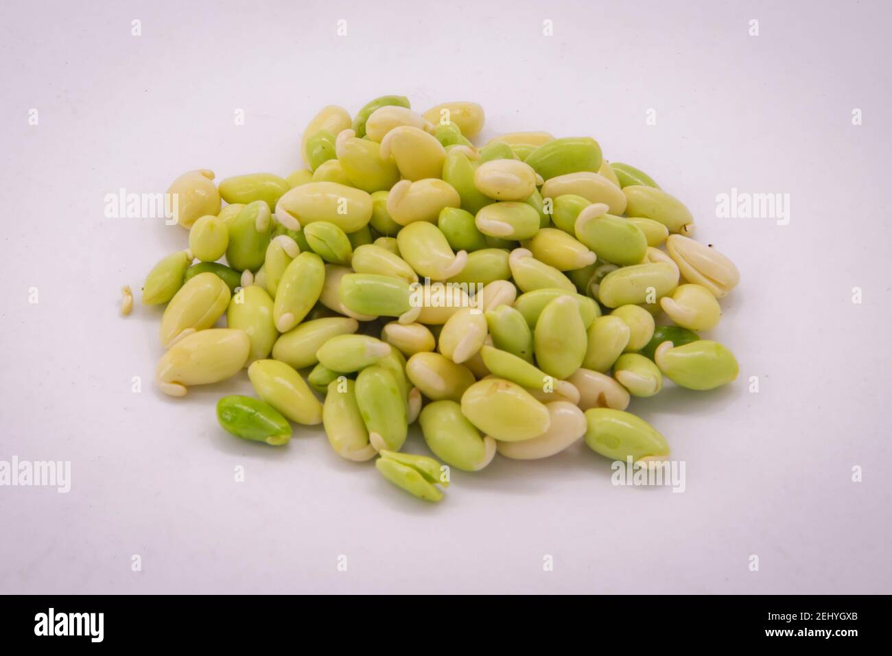 Gemüse-Saatgut Stockfoto