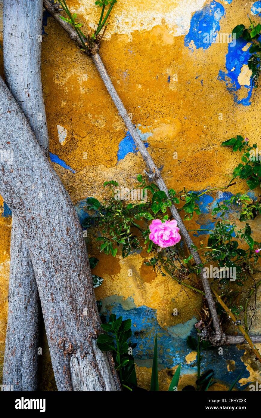 Anaflotika in Athen, Griechenland, einst Heimat von Bauarbeitern von den griechischen Inseln. Stockfoto