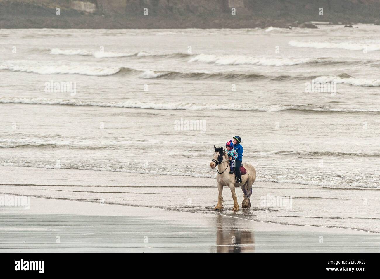 Harbor View Beach, West Cork, Irland. Februar 2021, 20th. West Cork steht derzeit unter einer MET Éireann Gelbwindwarnung, die bis 6pm heute Abend gültig ist. Trotz des windigen Wetters war Harbour View Beach voll mit Pferden, Hundebesitzern und Spaziergängern. Quelle: AG News/Alamy Live News Stockfoto