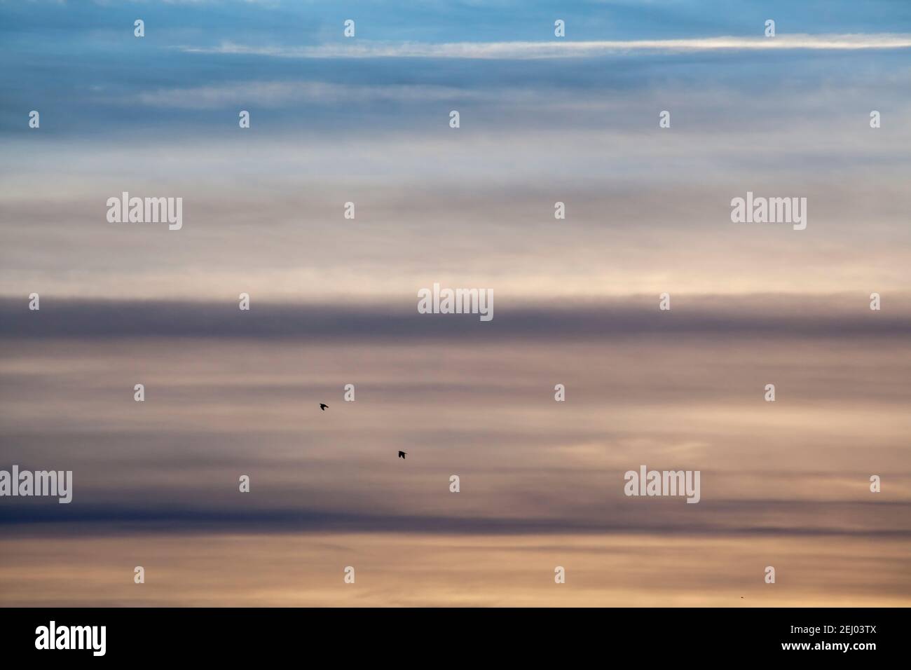 Wolkenschichten im Morgengrauen Stockfoto
