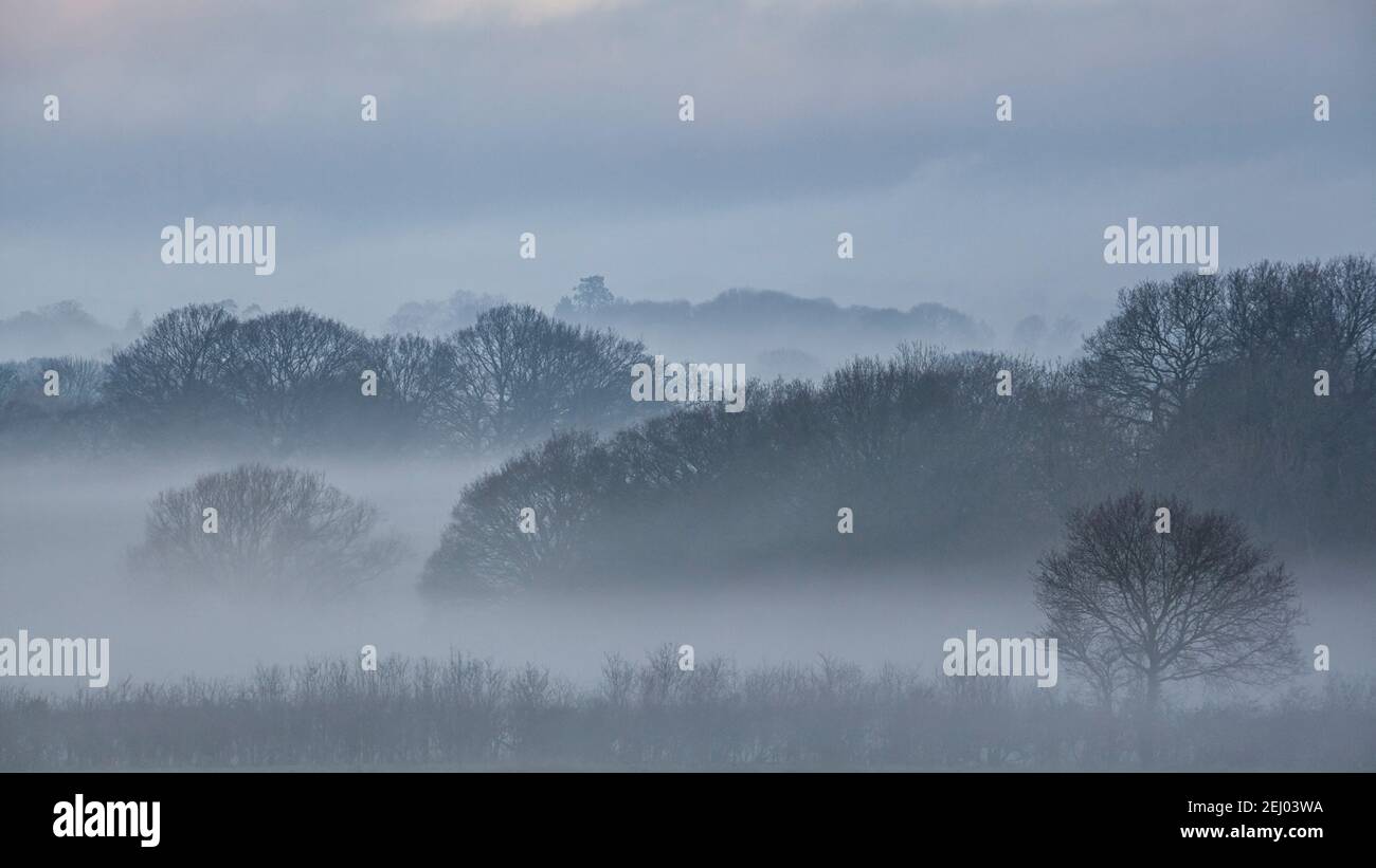 Nebliger Morgen in Sussex Stockfoto